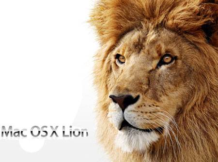 Lion X